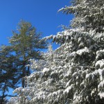 IMG_0841