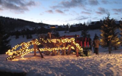 When in Rome (or Colorado): Sleighs [PART 2]